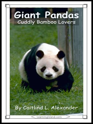 cover image of Giant Pandas
